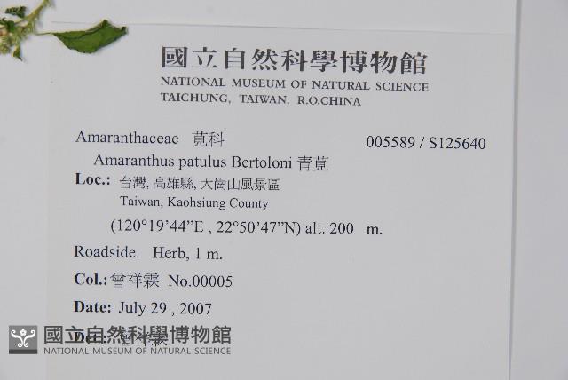 青莧藏品圖，第2張