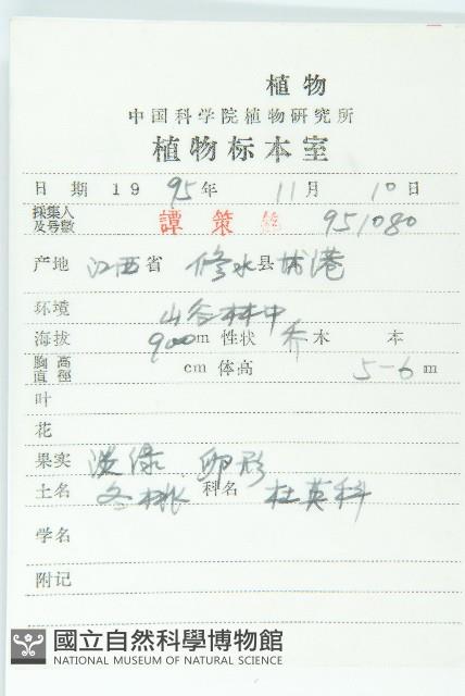 冬桃藏品圖，第2張