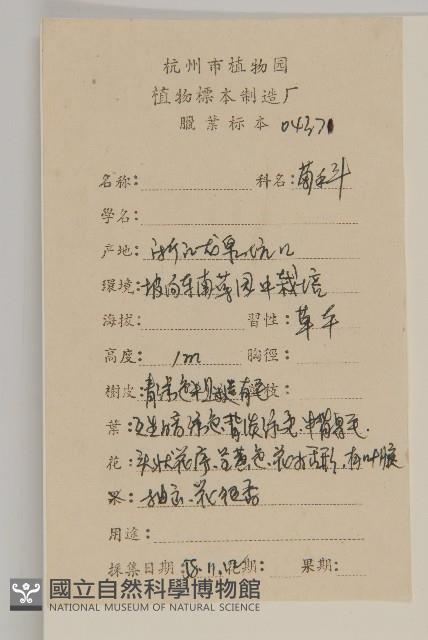 菊花藏品圖，第2張