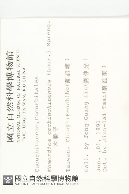 木鱉子藏品圖，第2張