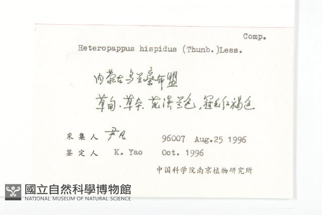 狗娃花藏品圖，第2張