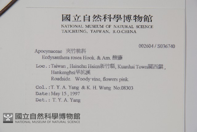 酸藤藏品圖，第2張
