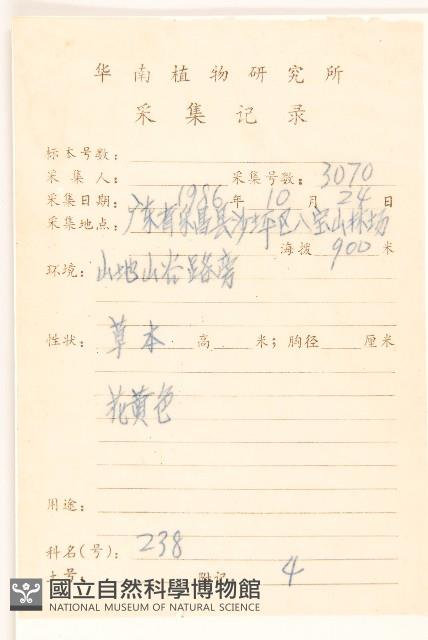 苦實菜藏品圖，第2張