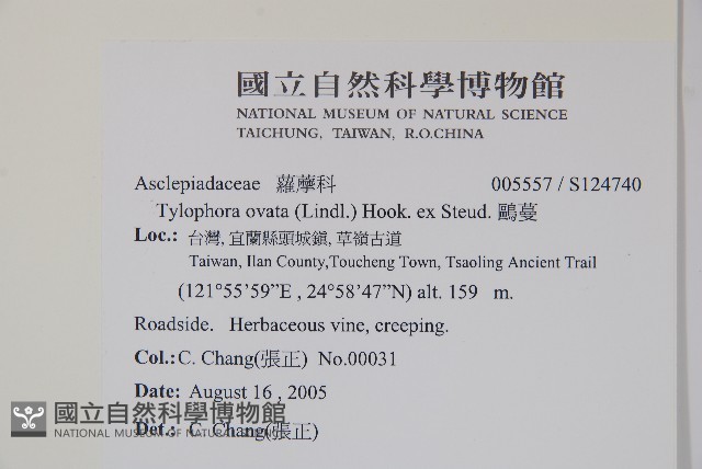 鷗蔓藏品圖，第2張