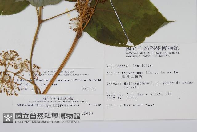 登錄號:S003740藏品圖，第2張