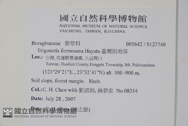 臺灣附地草藏品圖，第2張