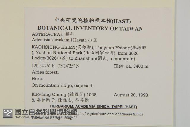 山艾藏品圖，第2張