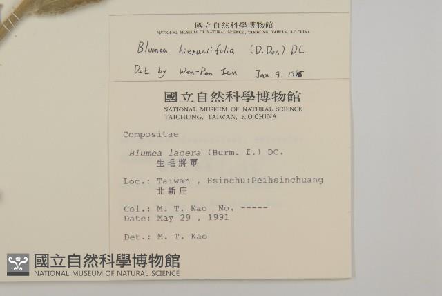 毛將軍藏品圖，第2張