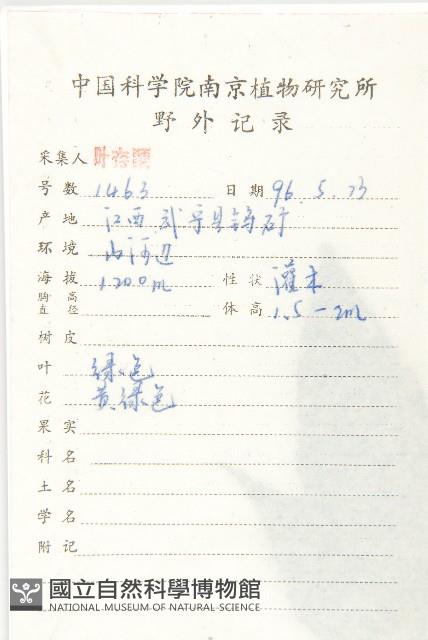 青莢葉藏品圖，第2張