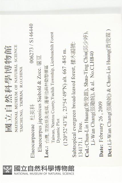 薯豆藏品圖，第2張