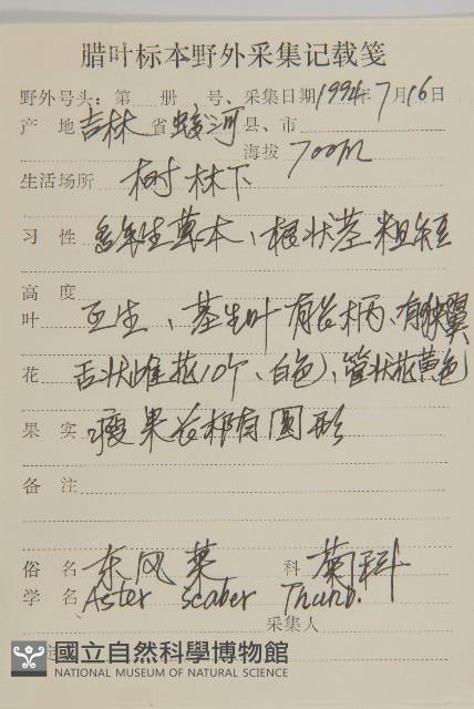 東鳳菜藏品圖，第2張