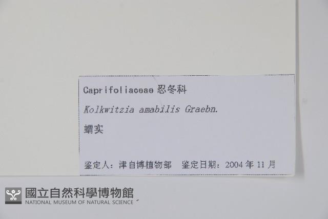 蝟實藏品圖，第2張