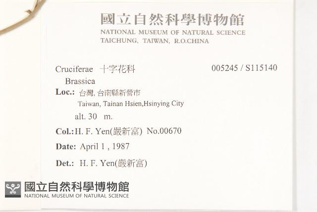 登錄號:S115140藏品圖，第2張