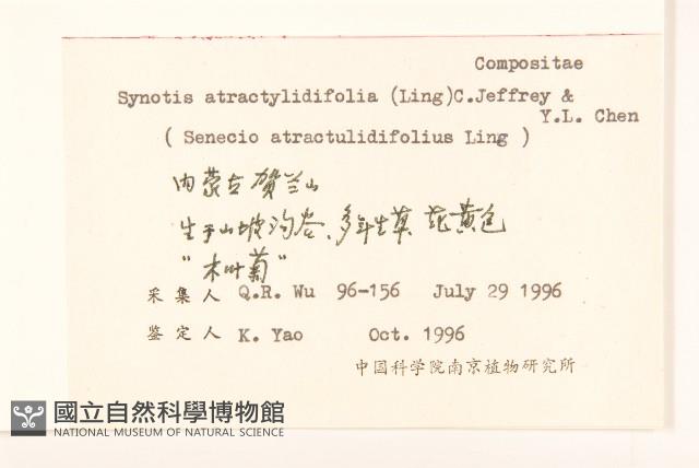 禾葉尾藥菊藏品圖，第2張