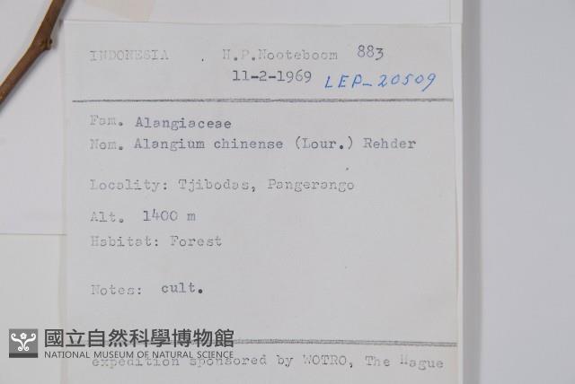 八角楓藏品圖，第2張