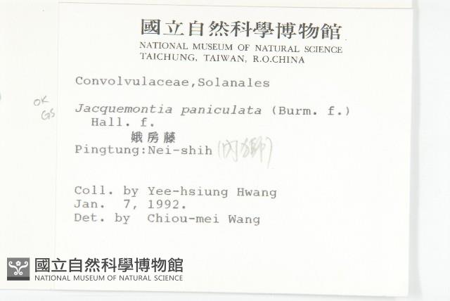 娥房藤藏品圖，第2張