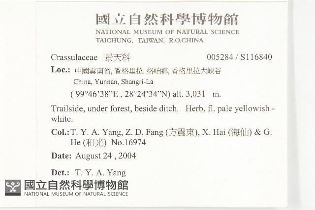 登錄號:S116840藏品圖，第2張