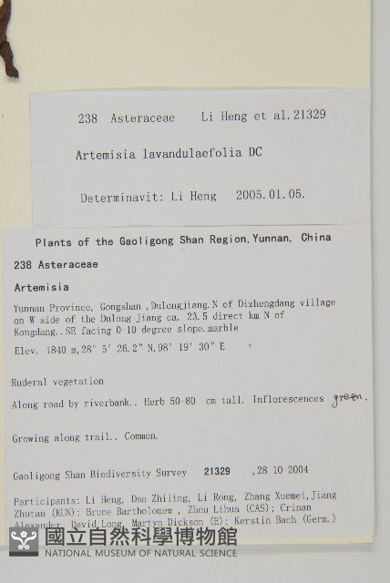 野草香藏品圖，第2張