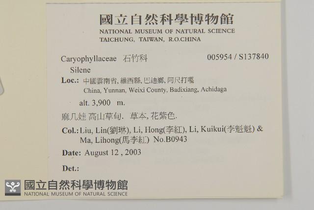 登錄號:S137840藏品圖，第2張