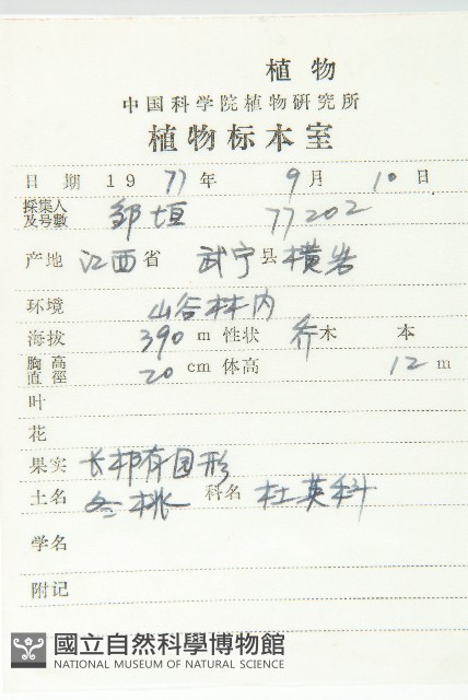 冬桃藏品圖，第2張