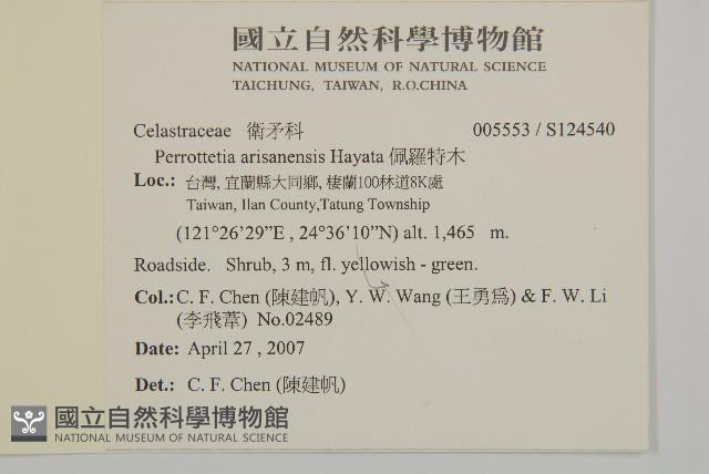 佩羅特木藏品圖，第2張