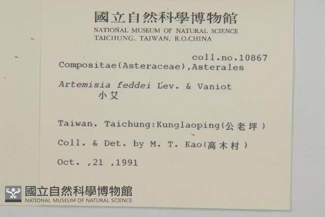 小艾、矮蒿藏品圖，第2張