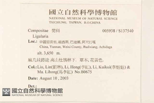 雲南橐吾藏品圖，第2張