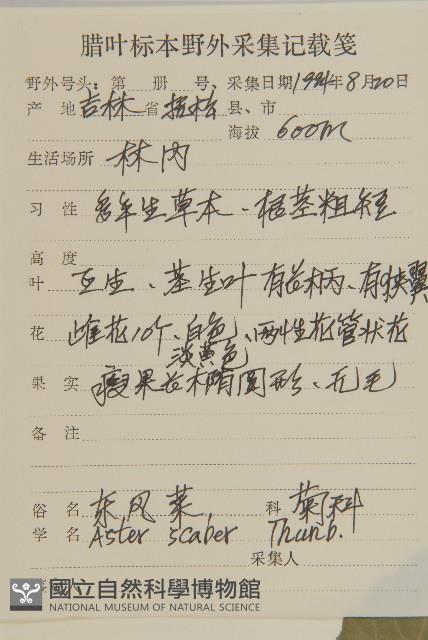 東鳳菜藏品圖，第2張