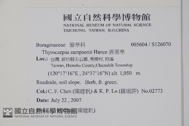 盾果草藏品圖，第2張