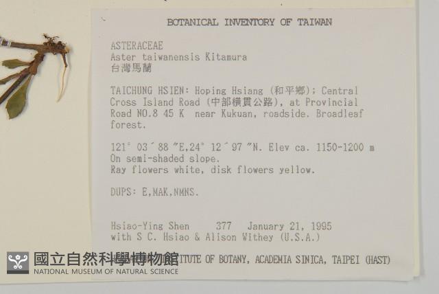 臺灣馬蘭藏品圖，第2張