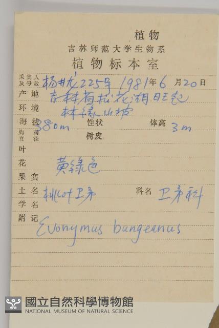 Accession Number:S026270 Collection Image, Figure 2, Total 3 Figures