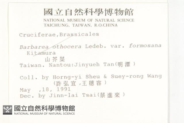 葶藶藏品圖，第2張