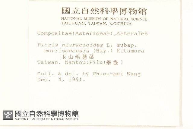 玉山毛蓮菜藏品圖，第2張