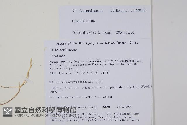 登錄號:S105680藏品圖，第2張