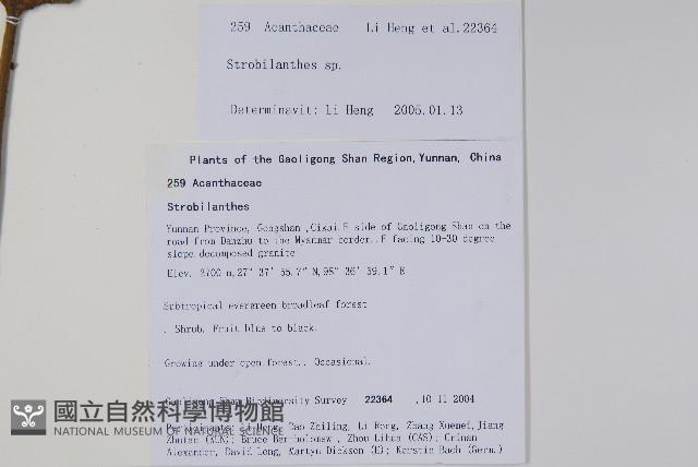 登錄號:S106080藏品圖，第2張