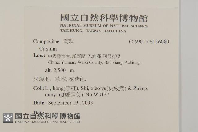 Accession Number:S136080 Collection Image, Figure 2, Total 2 Figures