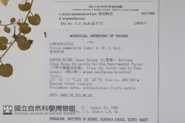 普刺特草藏品圖，第2張