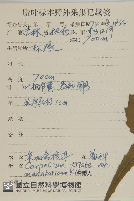 登錄號:S107380藏品圖，第2張