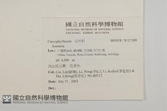 登錄號:S137380藏品圖，第2張