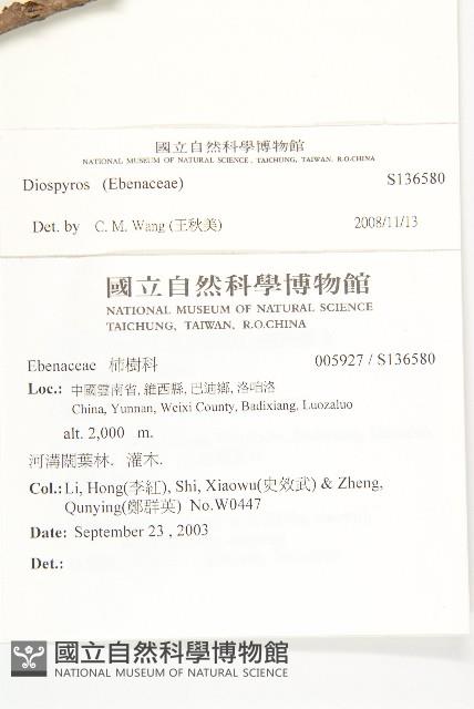 登錄號:S136580藏品圖，第2張