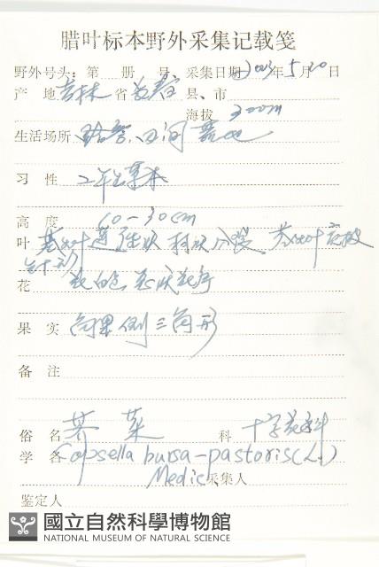 薺藏品圖，第2張