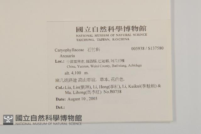 登錄號:S137580藏品圖，第2張