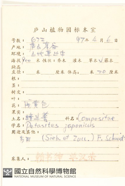蜂斗菜、蛇頭菜藏品圖，第2張
