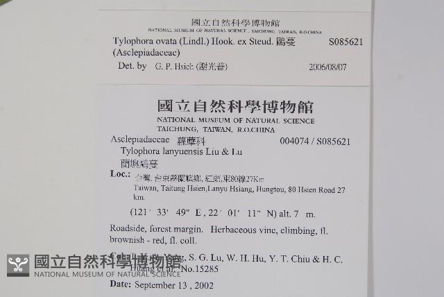 鷗蔓藏品圖，第2張