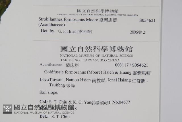 臺灣馬藍藏品圖，第2張