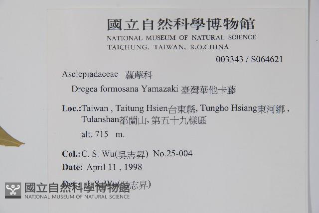 臺灣華他卡藤藏品圖，第2張