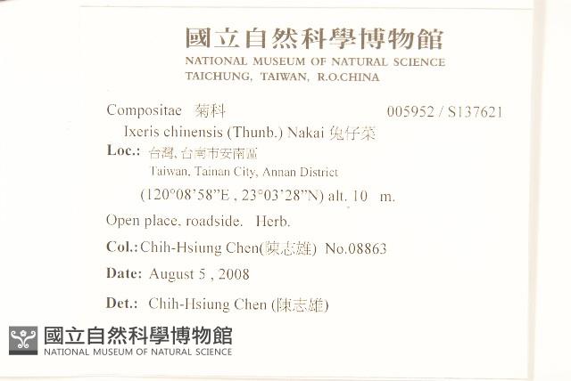 兔仔菜藏品圖，第2張