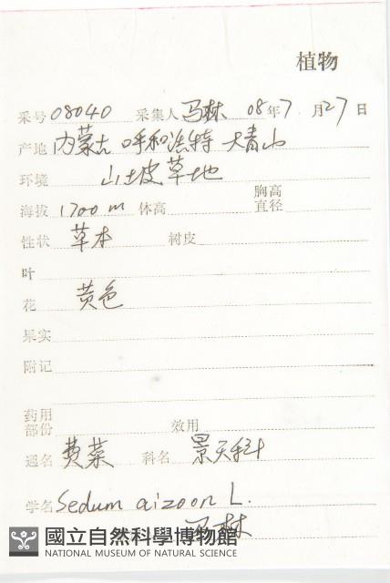 費菜藏品圖，第2張