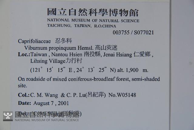 高山莢迷藏品圖，第2張