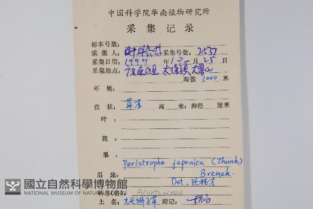 九頭獅子草藏品圖，第2張